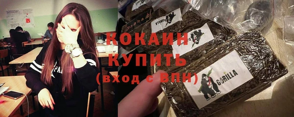 гашик Белоозёрский