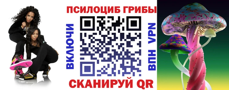 Галлюциногенные грибы Magic Shrooms  omg сайт  Балей  продажа наркотиков 